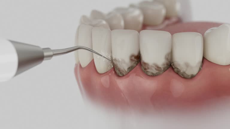 Reliable Dental contractor in Hybla Valley, VA by Dentist Open Now